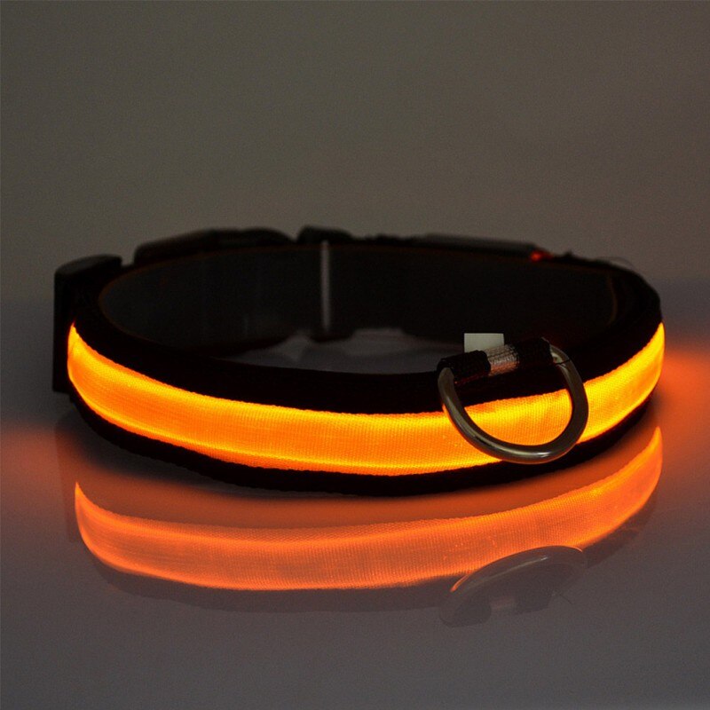 PETZZ™ Glow In The Dark Collar