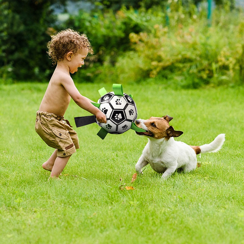 PETZZ Honden Voetbal - Bijtbestendige Bal - Hondenhoek