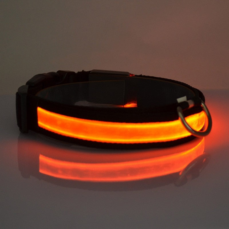 PETZZ™ Glow In The Dark Collar