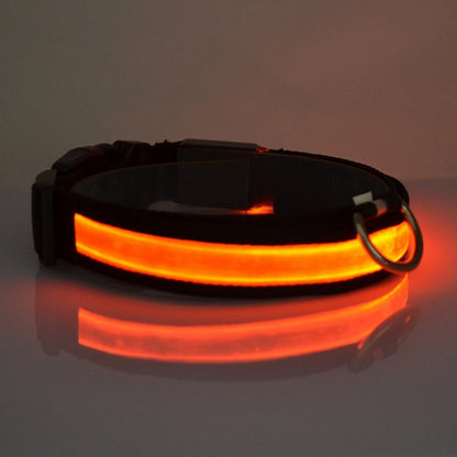 PETZZ™ Glow In The Dark Halsband