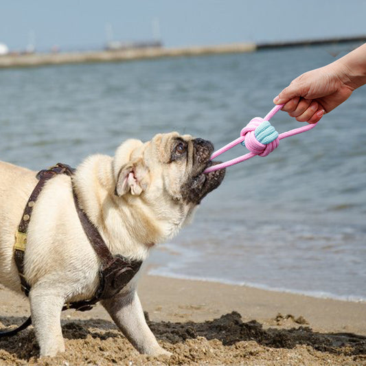 Actief Hondenspeelgoed - Speelgoed voor Honden - Hondenhoek.com