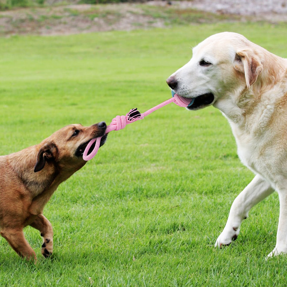 Actief Hondenspeelgoed - Speelgoed voor Honden - Hondenhoek.com