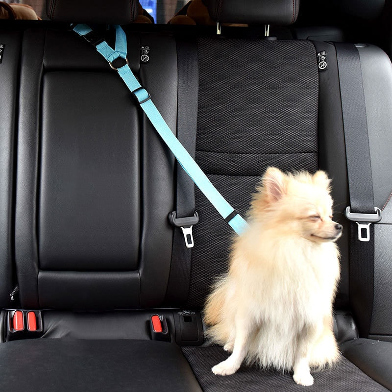 PETZZ Premium Autogordel - Veilig reizen met uw hond - Hondenhoek