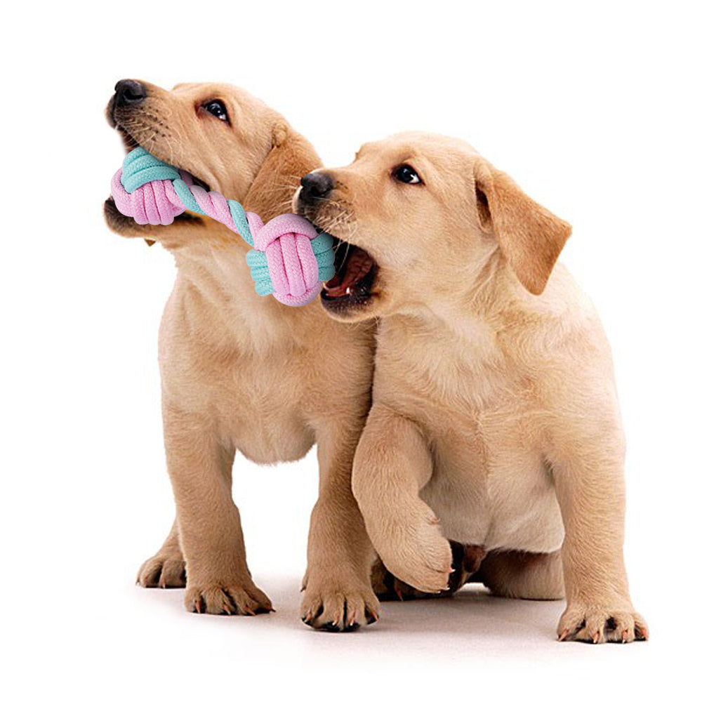 Actief Hondenspeelgoed - Speelgoed voor Honden - Hondenhoek.com