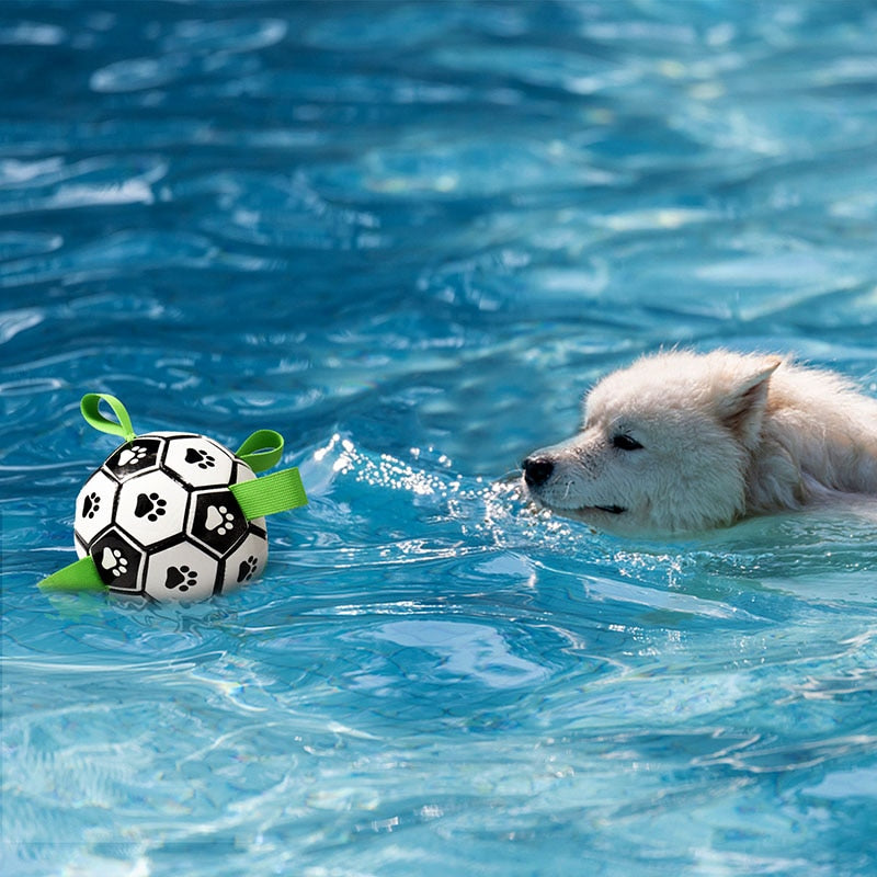 PETZZ Honden Voetbal - Bijtbestendige Bal - Hondenhoek
