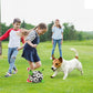 PETZZ Honden Voetbal - Bijtbestendige Bal - Hondenhoek