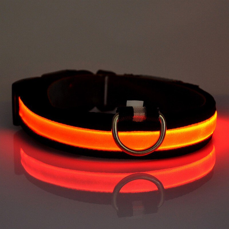 PETZZ™ Glow In The Dark Collar