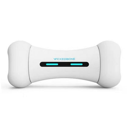 Robot interactif Wickedbone™