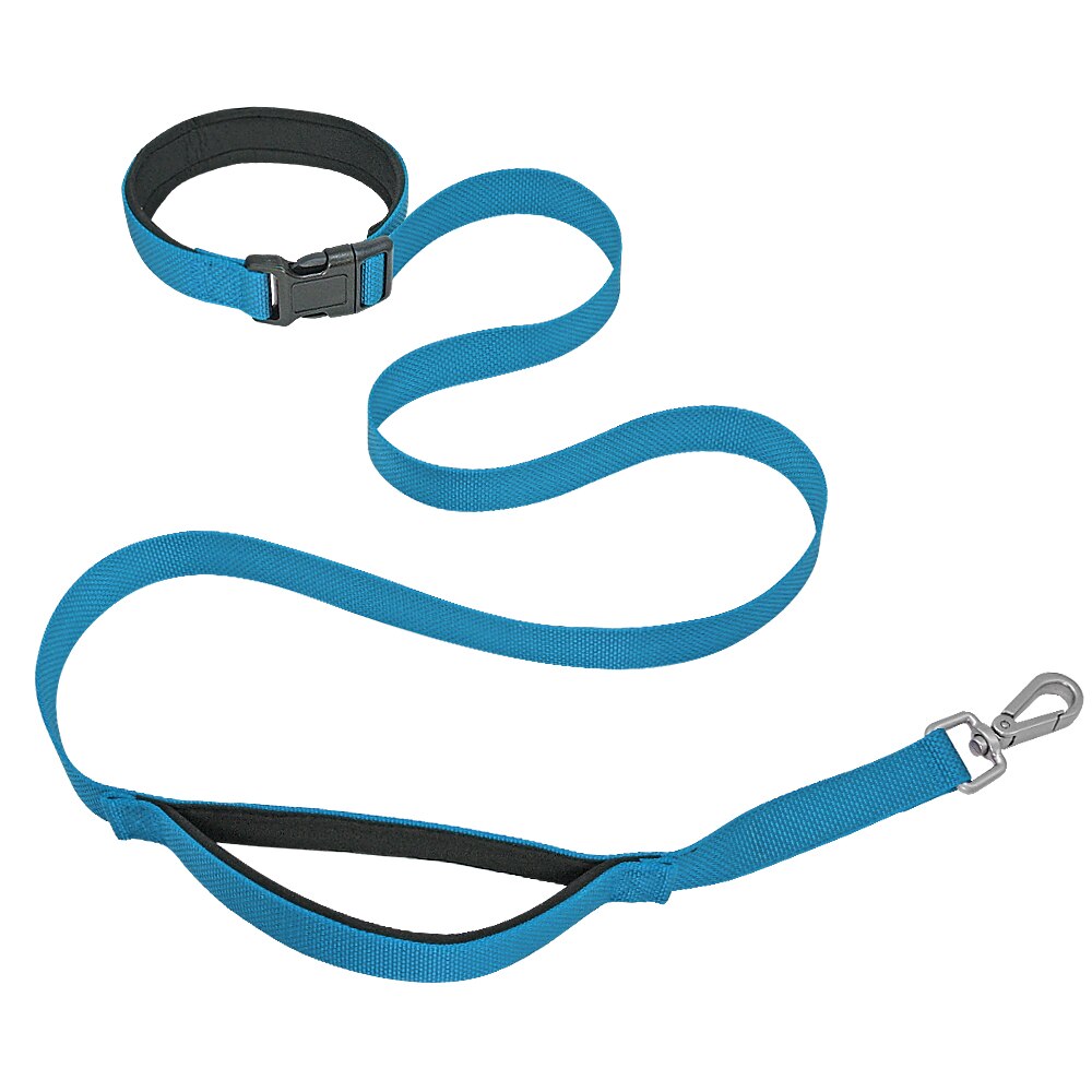 Run-with-your-dog Leash