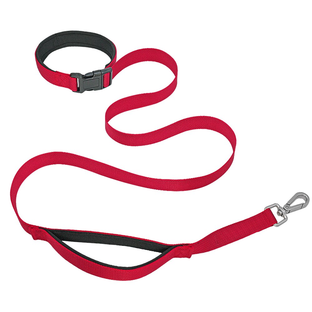 Run-with-your-dog Leash