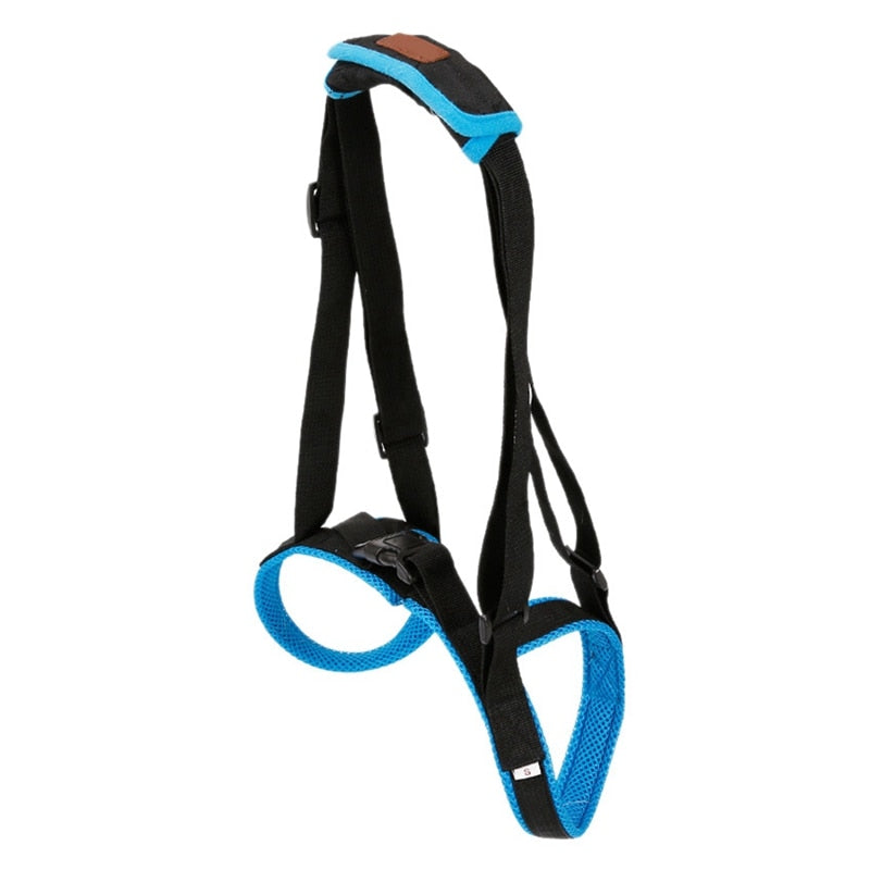 PETZZ™ Supportive Hip Belt