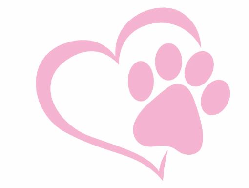Auto Honden Stickers - Maak Uw Autoraam Mooi - De Hondenhoek Online