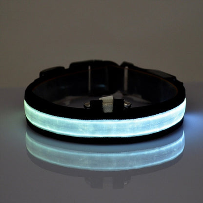PETZZ™ Glow In The Dark Halsband