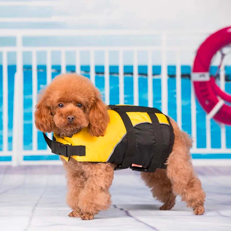 Life jacket for dogs