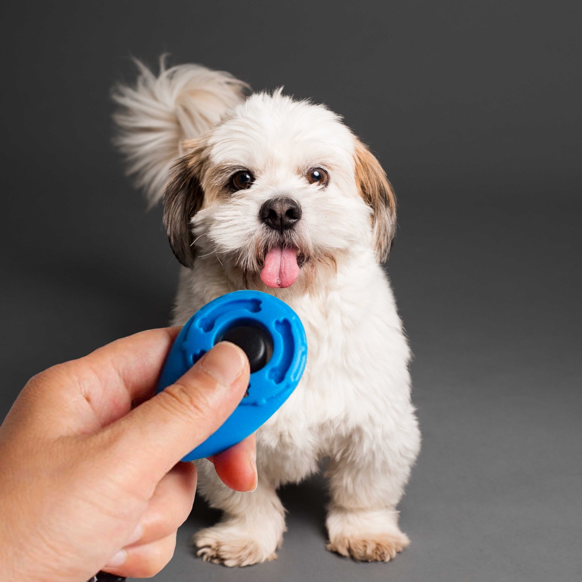 PETZZ Clicker voor Hondentraining - Puppy Training - Hondenhoek Online