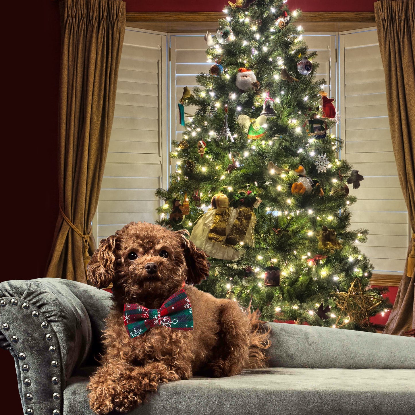 Hondenstrik Kerst Deluxe - Jingle Bells - Hondenhoek Kerst Outlet