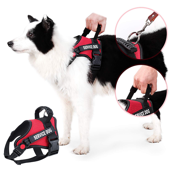Personalized 1-Click Harness