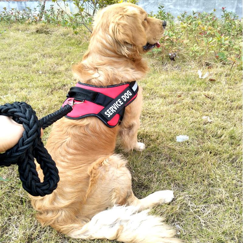 Personalized 1-Click Harness
