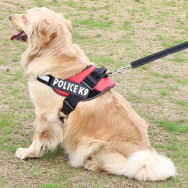 Personalized 1-Click Harness
