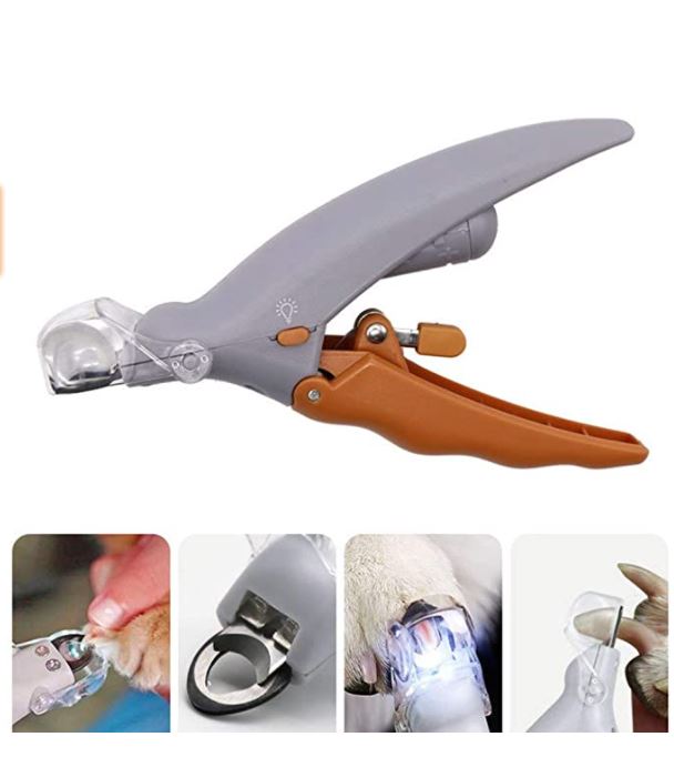 PETZZ Nagelknipper met LED licht - Verzorging voor uw Hond - Geen Pijn