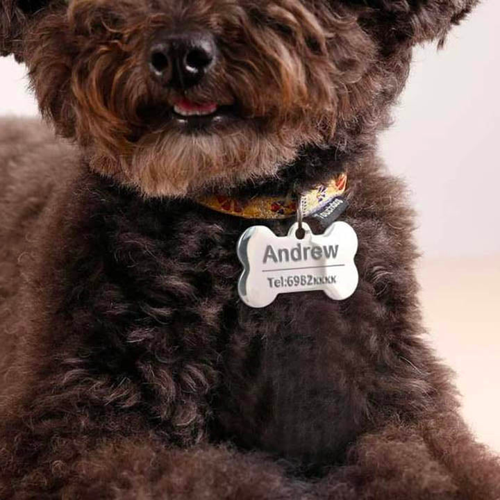 GEPERSONALISEERDE Badge - Inclusief naam voor Honden - WOEF Boetiek