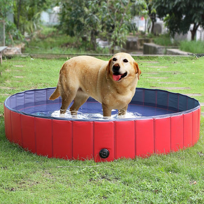PETZZ™ WETZZ Limited Edition Hondenzwembad