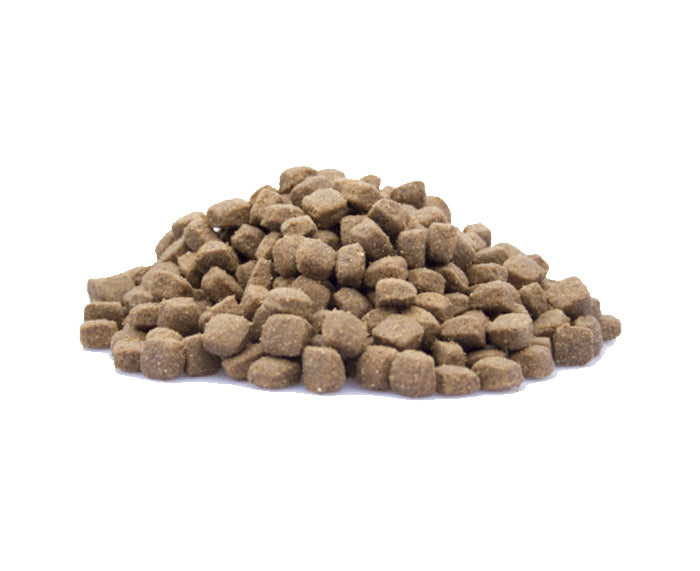 Premium High Energy - Brokken voor Intensieve Honden - WOEF Boetiek