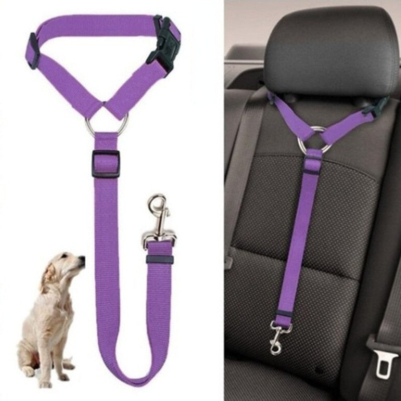PETZZ Premium Autogordel - Veilig reizen met uw hond - Hondenhoek