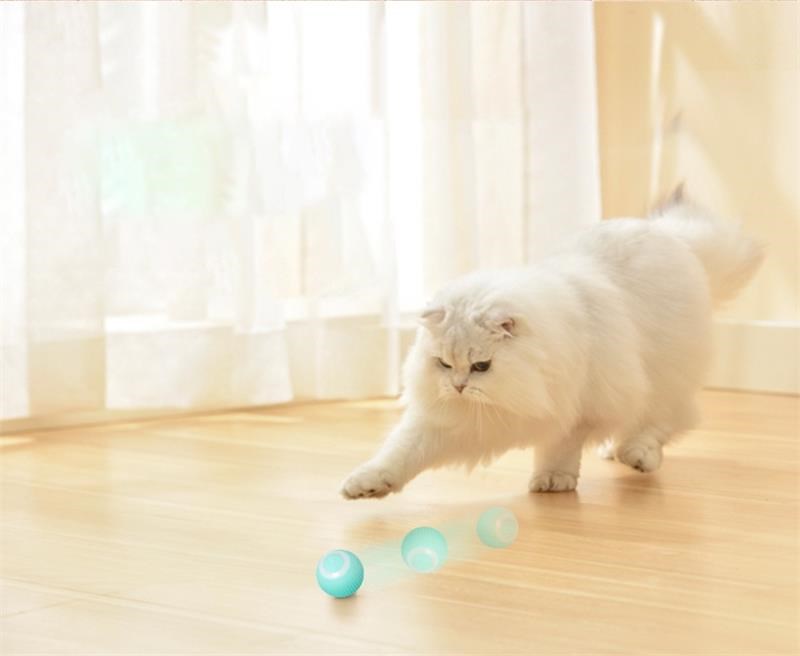 PETZZ™ Automatic Toy Ball