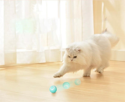 PETZZ™ Automatische Speelbal