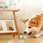 PETZZ Automatische Speelbal - Speelgoed voor Honden - Honenhoek.com