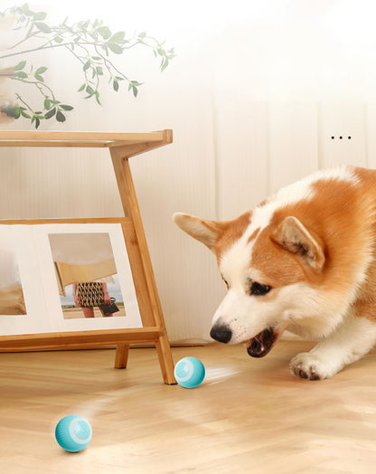 PETZZ Automatische Speelbal - Speelgoed voor Honden - Honenhoek.com