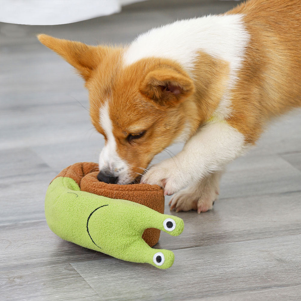 Snuffel Speelslak - Hond speelt met Snoepjes en Koekjes - Hondenhoek