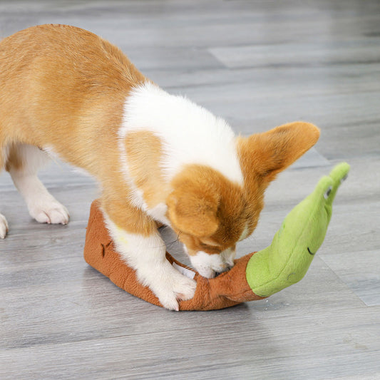 Snuffel Speelslak - Hond speelt met Snoepjes en Koekjes - Hondenhoek