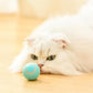 PETZZ™ Automatische Speelbal