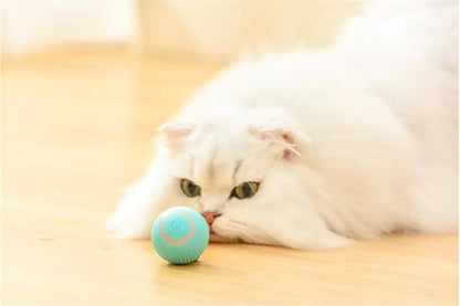 PETZZ™ Automatische Speelbal