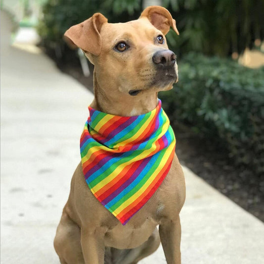 Bandana Pride pour chiens