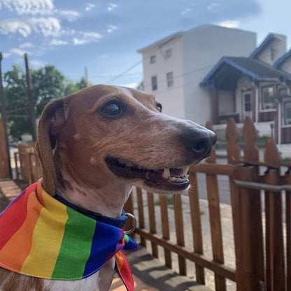 Pride Bandana voor Honden