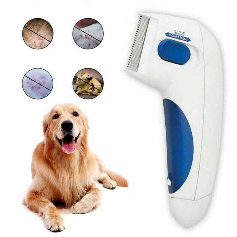 Electric Flea Comb