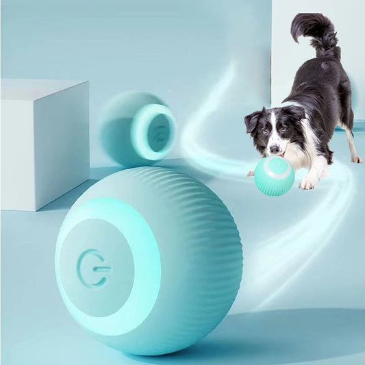 PETZZ Automatische Speelbal - Speelgoed voor Honden - Honenhoek.com