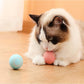 PETZZ Automatische Speelbal - Speelgoed voor Honden - Honenhoek.com