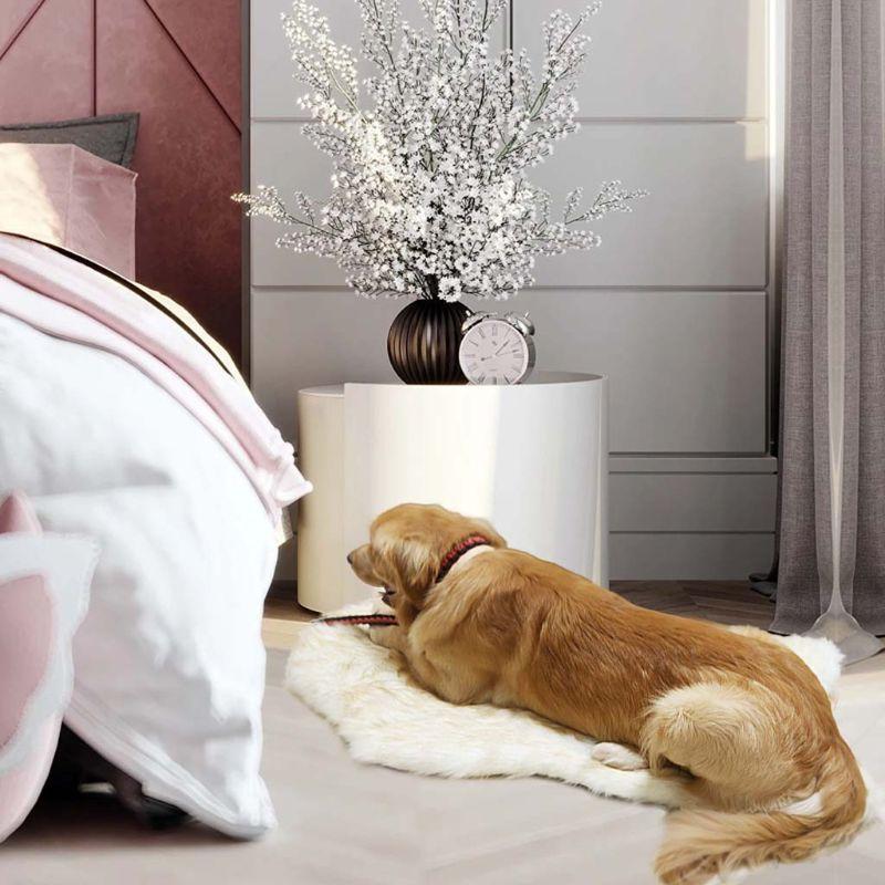 Memory Foam+ Hondenbed - Perfecte Bedden voor Honden - Hondenhoek