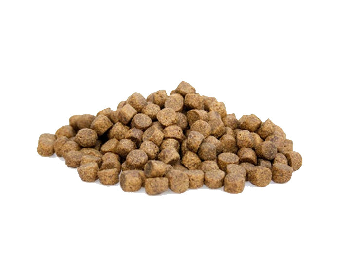 Super Premium Salmon & Rice - Premium Hondenbrokken - WOEF Boetiek