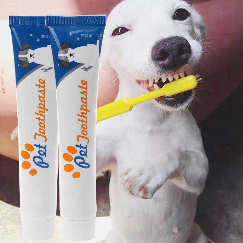 Tandpasta voor Honden - De Beste Hygiëne & Verzorging - WOEF Boetiek