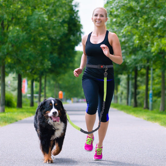 WOEF Rennen hond honden lijn leiband riem