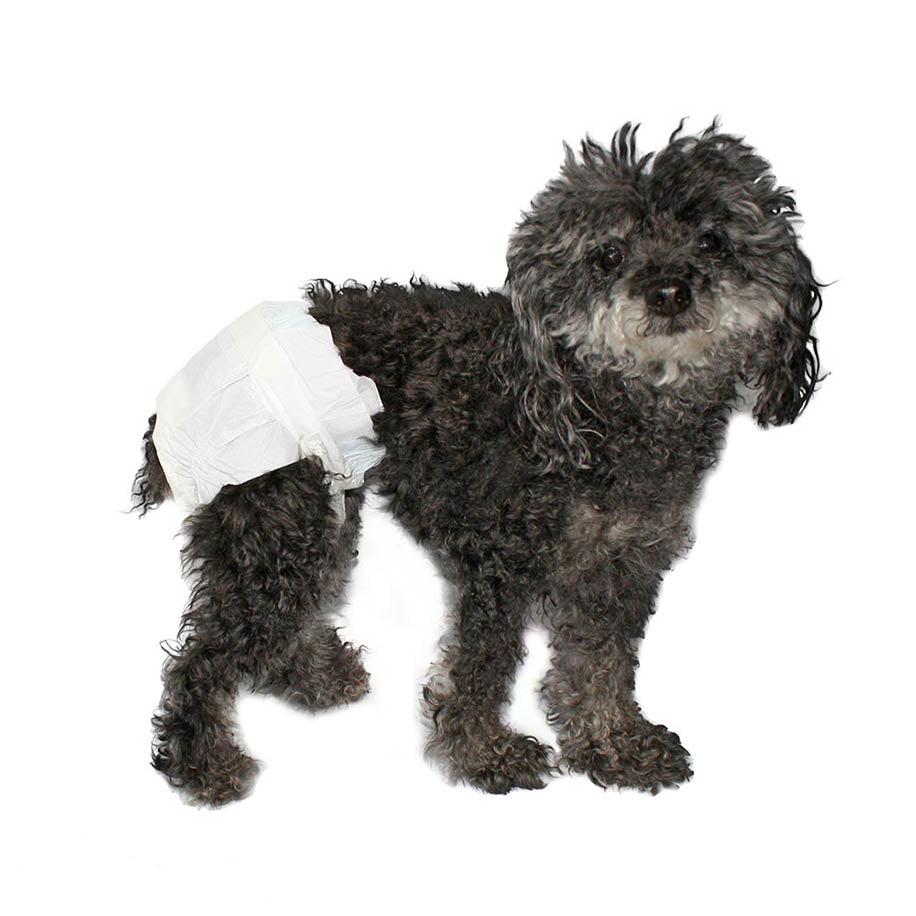 Trixie Luiers (luiers) voor honden - Vergelijk prijzen Trixie Luiers (luiers) voor honden - Vergelijk prijzen
