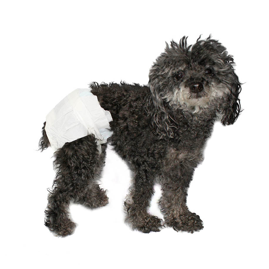 PETZZ Wegwerp Luiers voor Honden - Hulp bij Ongelukjes - Hondenhoek