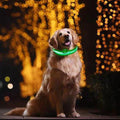 Glow In The Dark Halsband - Halsbanden voor honden - Hondenhoek