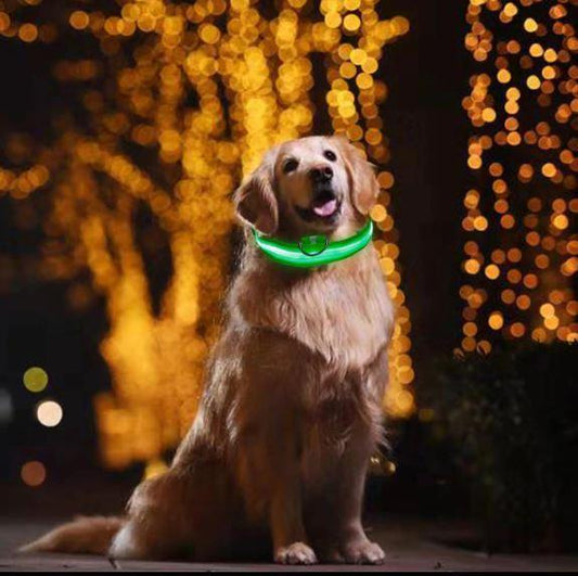 Glow In The Dark Halsband - Halsbanden voor honden - Hondenhoek