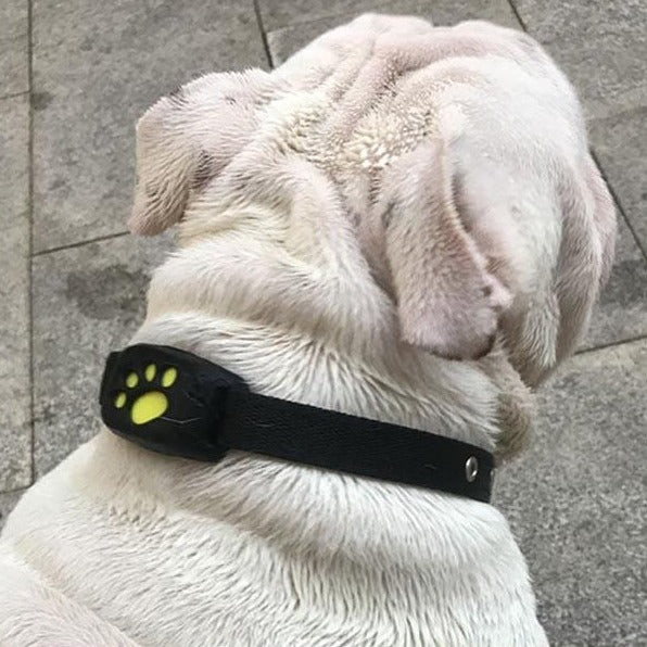 GPS Tracking Halsband - Makkelijk uw Hond Terugvinden - Hondenhoek